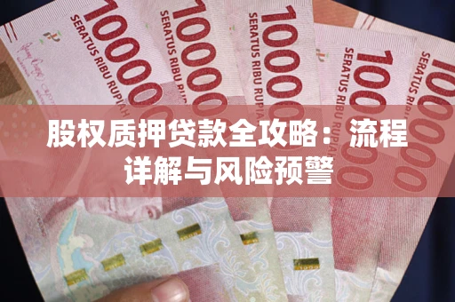 北京股权质押贷款全攻略：流程详解与风险预警