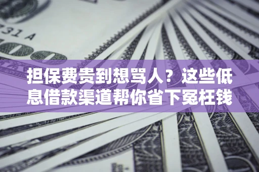 北京担保费贵到想骂人？这些低息借款渠道帮你省下冤枉钱