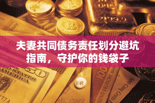 北京夫妻共同债务责任划分避坑指南，守护你的钱袋子