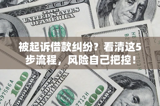 北京被起诉借款纠纷？看清这5步流程，风险自己把控！