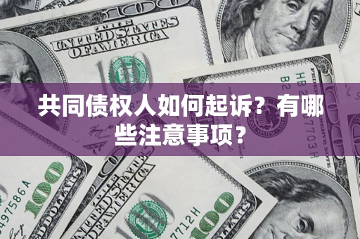 北京共同债权人如何起诉？有哪些注意事项？